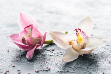 成都丝袜按摩就是我们养生的目标